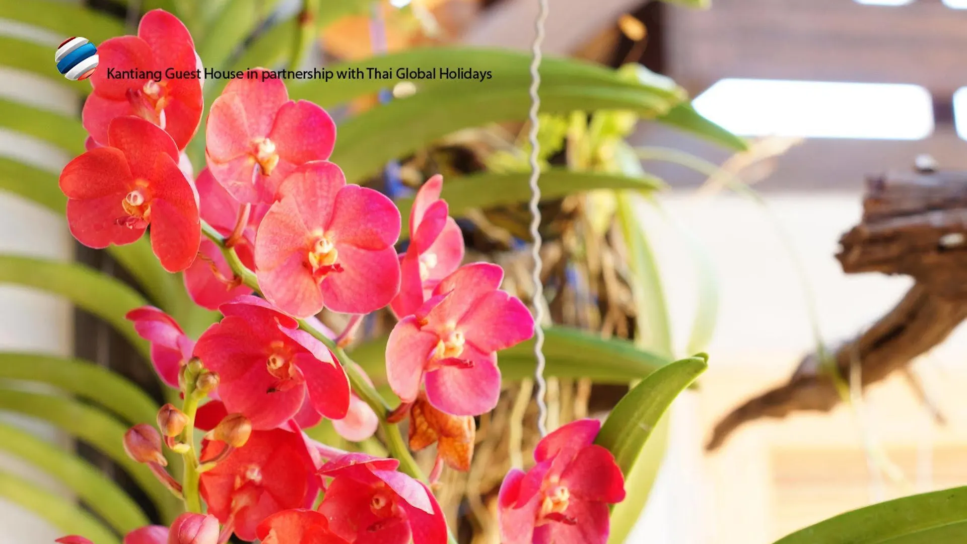 Kantaing Boutique Guest House Ko Lanta 泰国